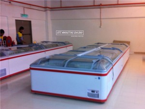 Irene-Freezer-Display-06