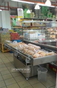 Irene-Freezer-Display-14